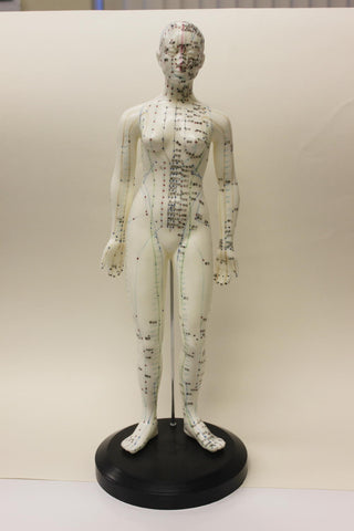 Acupuncture Model 48cm Female in Chinese Characters